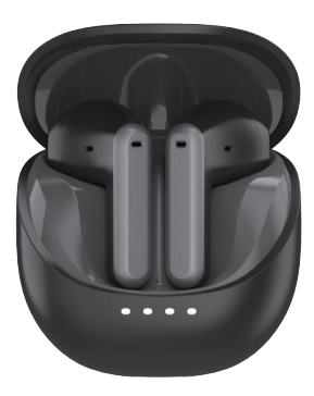 Entry level ENC TWS Earbuds